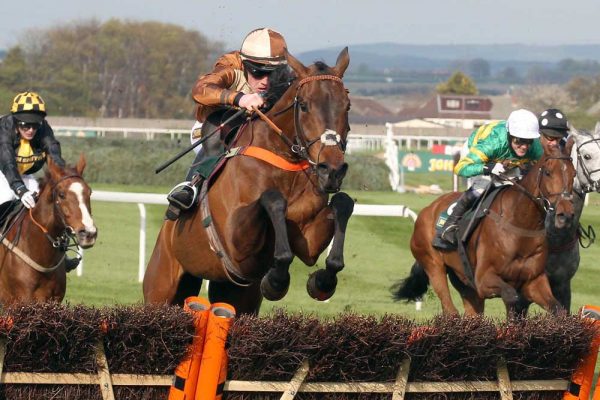 Attaglance: defied top weight to land Aintree’s Listed handicap hurdle. (c) John Grossick