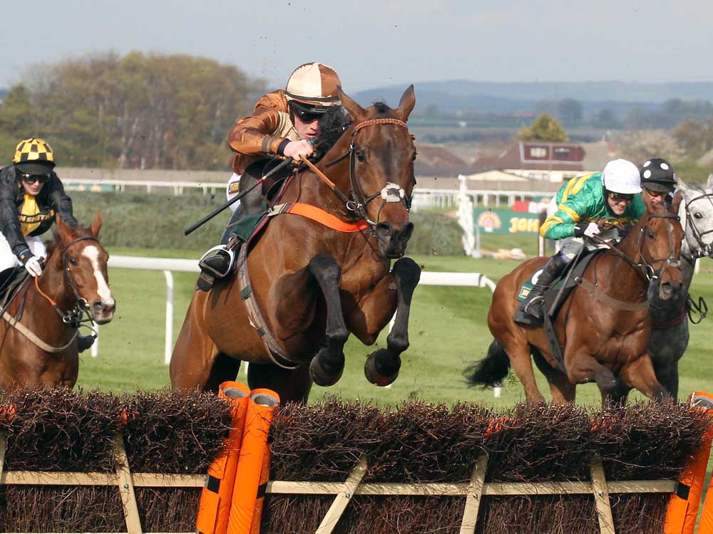 Attaglance: defied top weight to land Aintree’s Listed handicap hurdle. (c) John Grossick