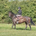 2nd Lot Fernan