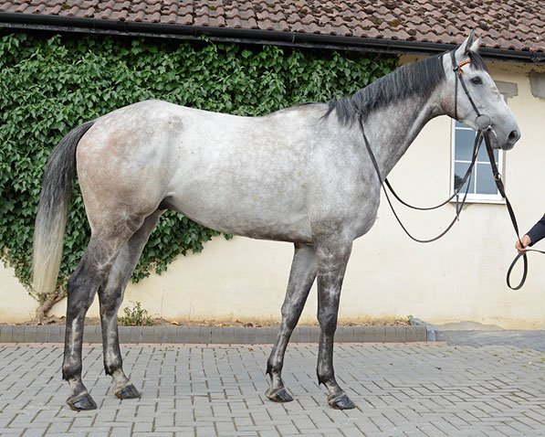 Sulamani ex Altogether Now