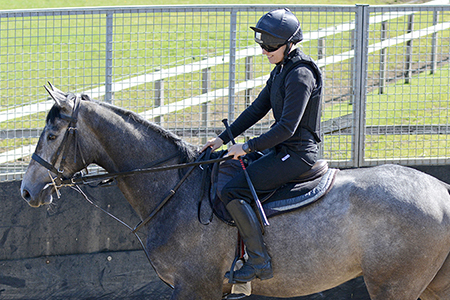 Ruth in the lunge ring