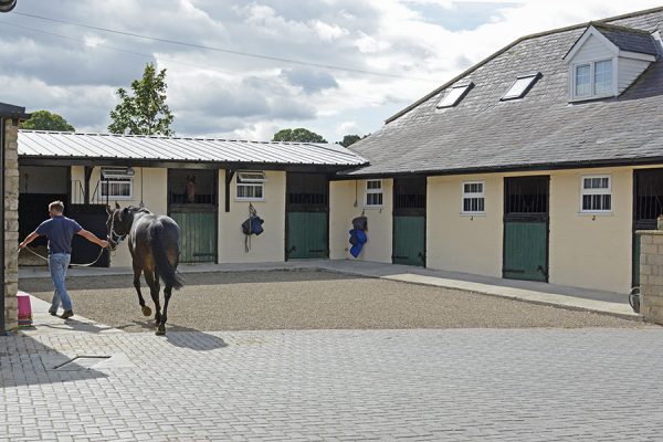 Stable yard